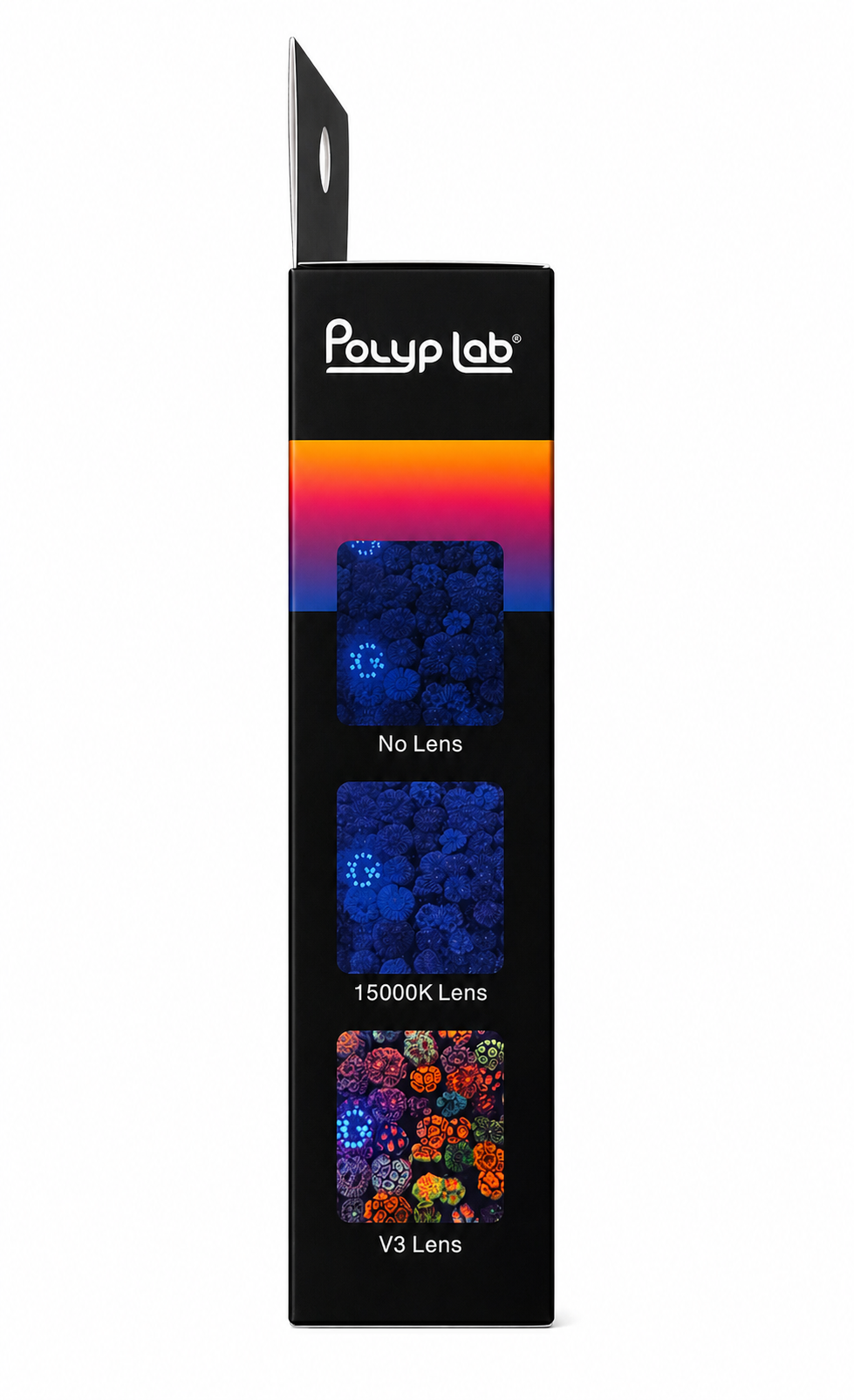 未使用　POLER 1PERSON SEE Polyplab NEW coral view lens V3