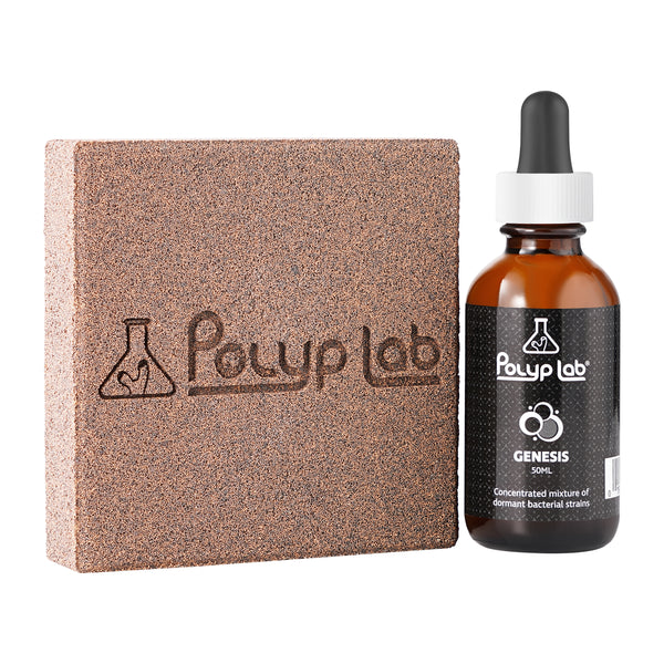 E〇2B Bio Purifiant　2B PUパック E⑤2B Bio Purifiant 2B PUパック